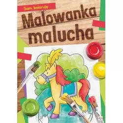 SAM KOLORUJĘ MALOWANKA MALUCHA - Aksjomat