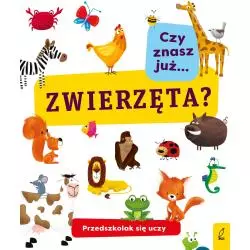 CZY ZNASZ JUŻ ZWIERZĘTA? PRZEDSZKOLAK SIĘ UCZY - Wilga