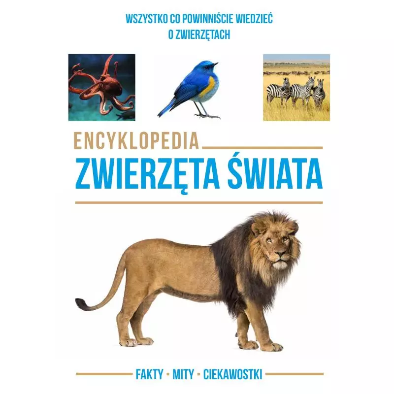 ENCYKLOPEDIA ZWIERZĘTA ŚWIATA - Wilga