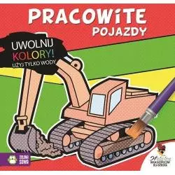 PRACOWITE POJAZDY UWOLNIJ KOLORY! UŻYJ TYLKO WODY