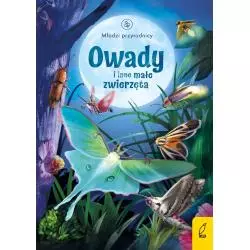 OWADY I INNE MAŁE ZWIERZĘTA MŁODZI PRZYRODNICY Emily Bone - Wilga