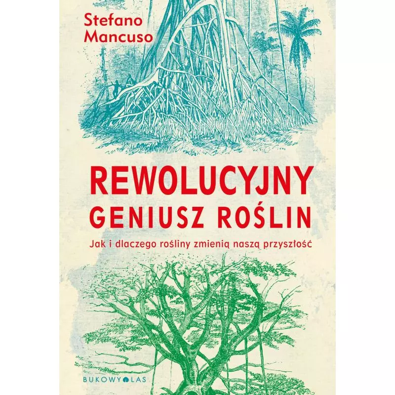 REWOLUCYJNY GENIUSZ ROŚLIN Stefano Mancuso - Bukowy las