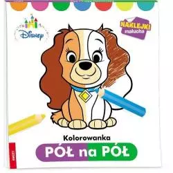 DISNEY KOLOROWANKA PÓŁ NA PÓŁ 