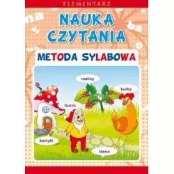 NAUKA CZYTANIA METODA SYLABOWA Beata Guzowska - Literat