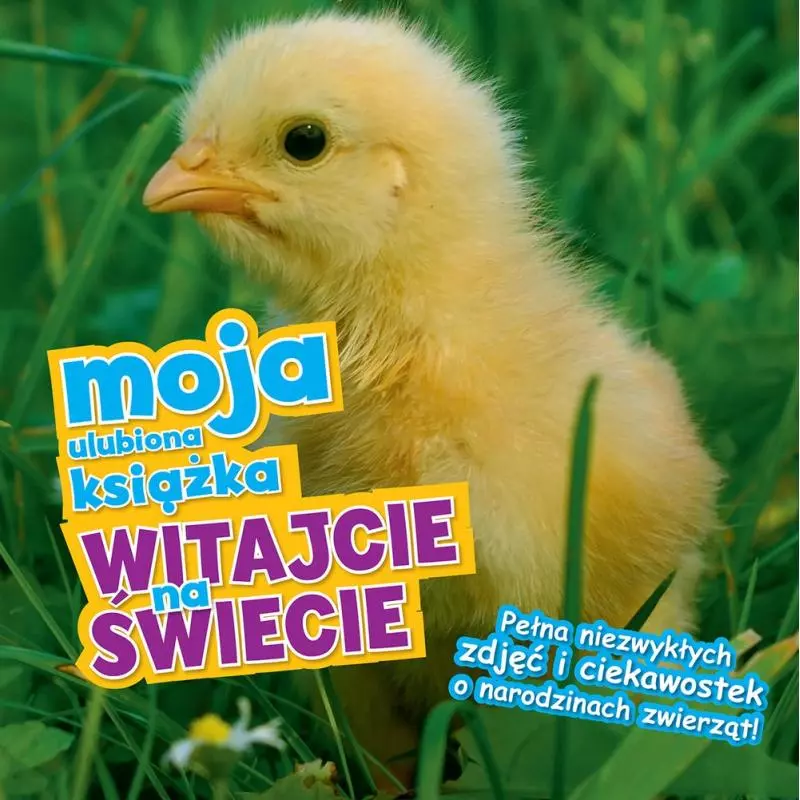 WITAJCIE NA ŚWIECIE MOJA ULUBIONA KSIĄŻKA - Wilga