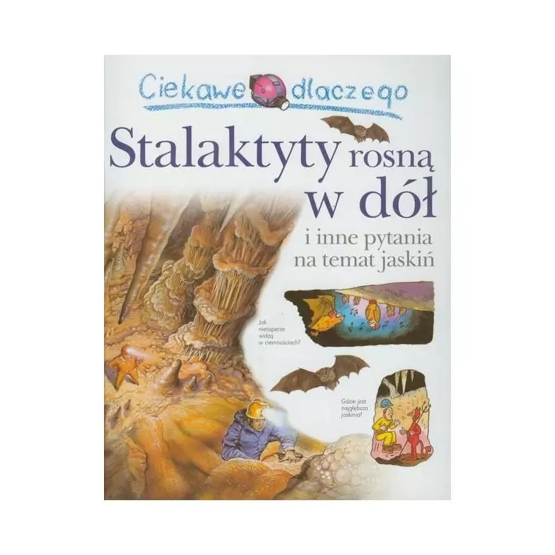CIEKAWE DLACZEGO STALAKTYTY ROSNĄ W DÓŁ I INNE PYTANIA NA TEMAT JASKIŃ Jackie Gaff - Olesiejuk