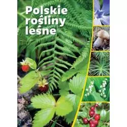 POLSKIE ROŚLINY LEŚNE - SBM