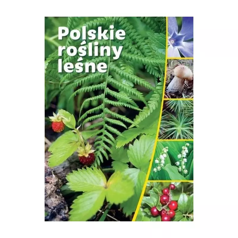 POLSKIE ROŚLINY LEŚNE - SBM