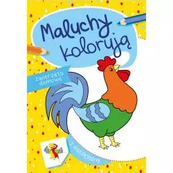 ZWIERZĘTA DOMOWE MALUCHY KOLORUJĄ Nowak Agata - Skrzat