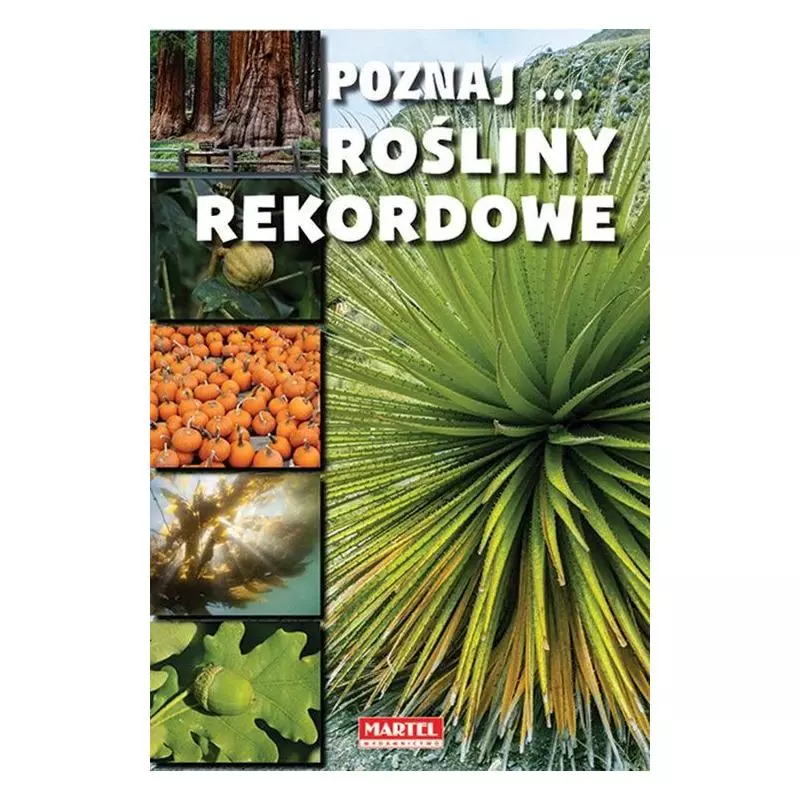 ROŚLINY REKORDOWE POZNAJ - Martel