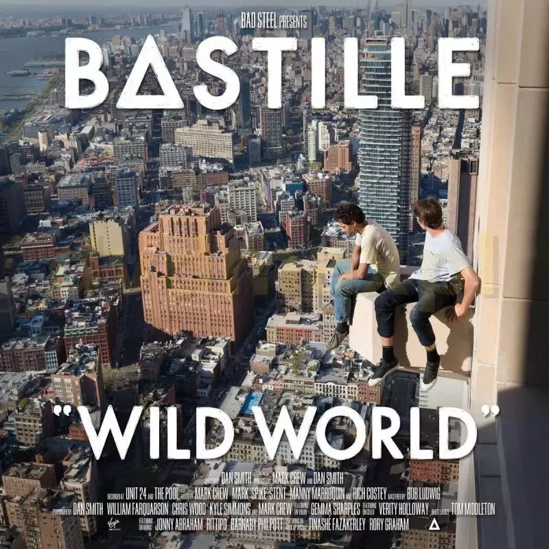 BASTILLE WILD WORLD 2 X WINYL