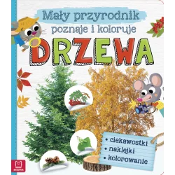 MAŁY PRZYRODNIK POZNAJE I KOLORUJE DRZEWA OPRACOWANIE ZBIOROWE