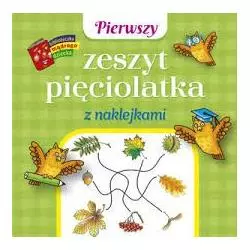ZESZYT PIĘCIOLATKA Z NAKLEJKAMI 1