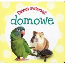 DZIECI ZWIERZĄT. DOMOWE 