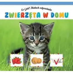 CO I JAK? MALUCH ODPOWIADA ZWIERZĘTA W DOMU 