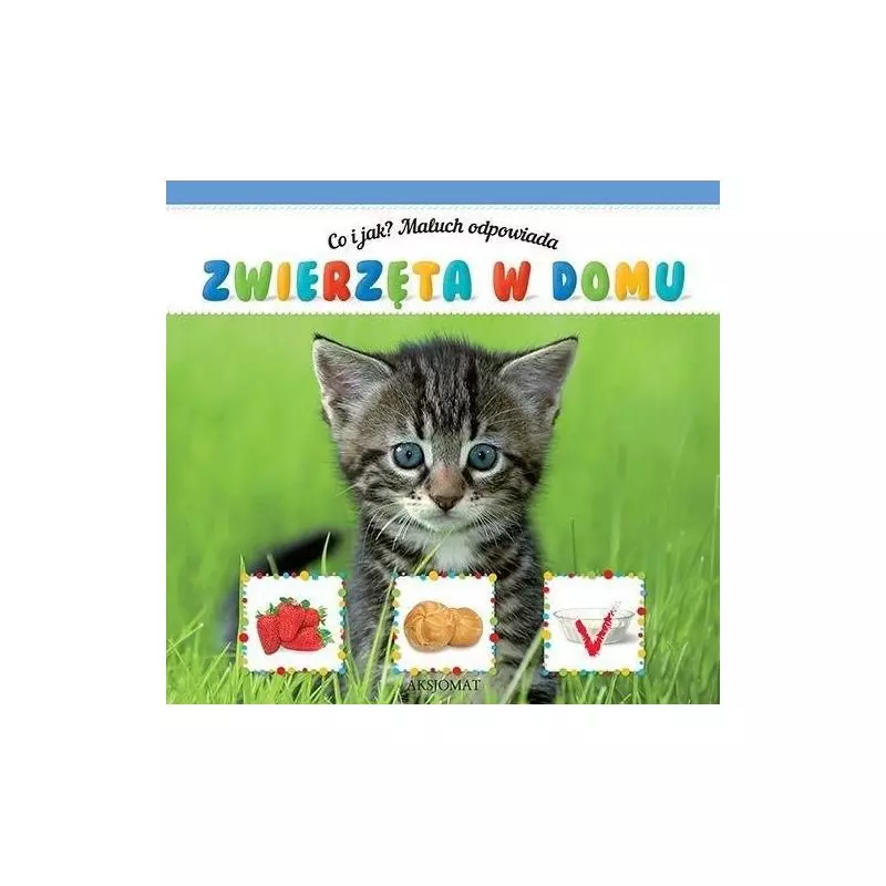 CO I JAK? MALUCH ODPOWIADA ZWIERZĘTA W DOMU 