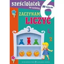 ZACZYNAM LICZYĆ SZEŚCIOLATEK NA SZÓSTKĘ 80 NAKLEJEK - Zielona Sowa