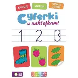 CYFERKI. KOLOROWA AKADEMIA Z NAKLEJKAMI 4+ - Zielona Sowa