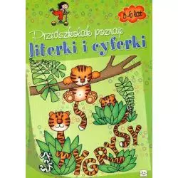 PRZEDSZKOLAK POZNAJE LITERKI I CYFERKI 5-6 LAT 