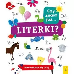 CZY ZNASZ JUŻ LITERKI PRZEDSZKOLAK SIĘ UCZY - Wilga