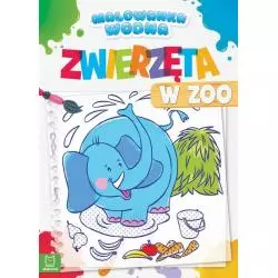 MALOWANKA WODNA ZWIERZĘTA ZOO - Aksjomat