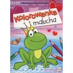 KOLOROWANKA MALUCHA 