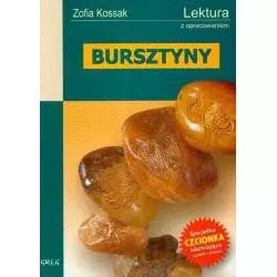 BURSZTYNY Kossak Zofia