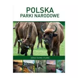 POLSKA: PARKI NARODOWE. DZIKA FAUNA I FLORA Panek Marcin