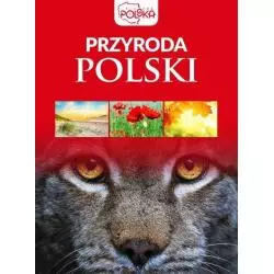 PRZYRODA POLSKI. PIĘKNA POLSKA - Dragon