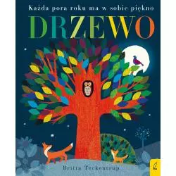 DRZEWO KAŻDA PORA ROKU MA W SOBIE PIĘKNO Patricia Hegarty - Wilga