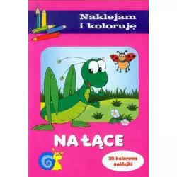 NA ŁĄCE. NAKLEJAM I KOLORUJĘ Aleksander Małecki 4+ - Olesiejuk