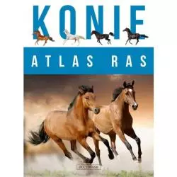 ATLAS RAS KONIE