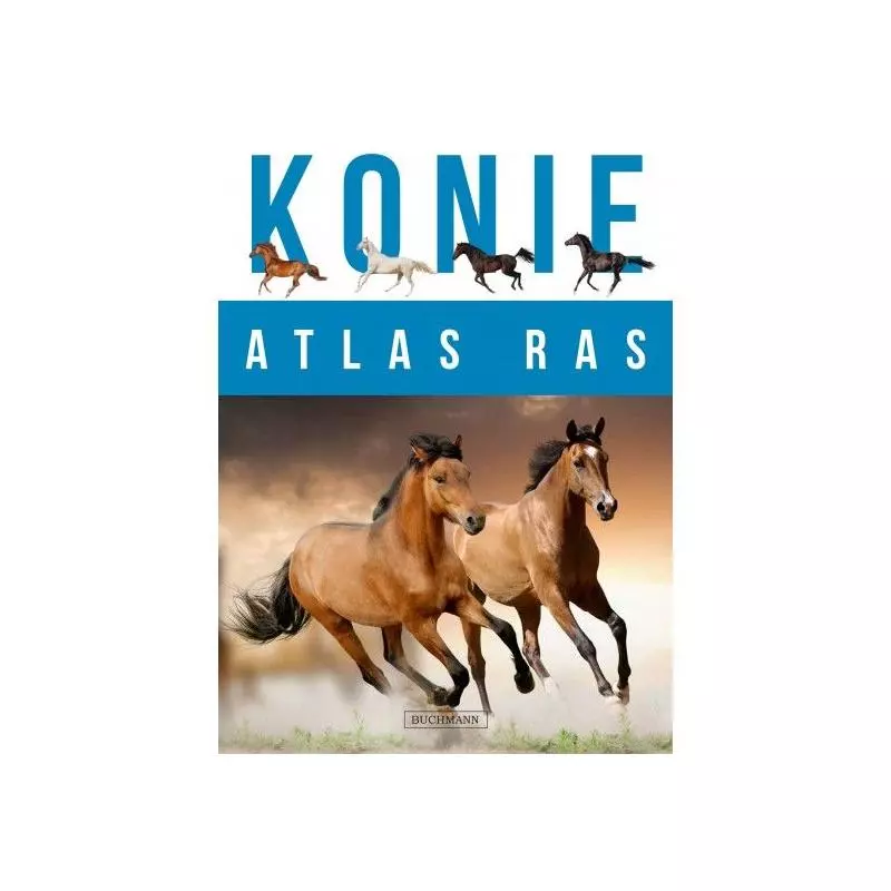 ATLAS RAS KONIE