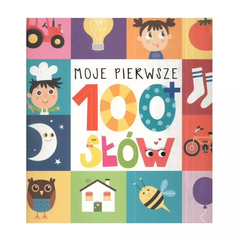 MOJE PIERWSZE 100 SŁÓW 