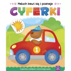CYFERKI MALUCH BAWI SIĘ I POZNAJE - Aksjomat