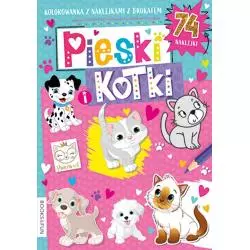 PIESKI I KOTKI KOLOROWANKA 