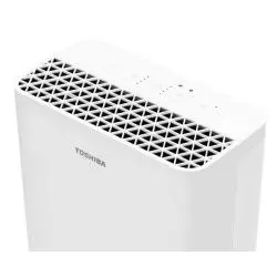 OCZYSZCZACZ POWIETRZA TOSHIBA CAF-X33XPL - Toshiba