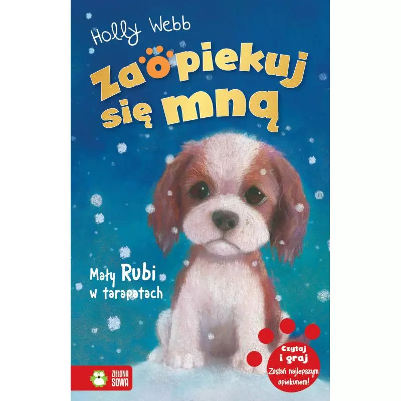 MAŁY RUBI W TARAPATACH ZAOPIEKUJ SIĘ MNĄ Holly Webb - Zielona Sowa