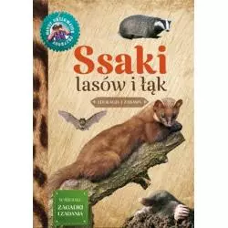 MŁODY OBSERWATOR PRZYRODY SSAKI LASÓW I ŁĄK EDUKACJA I ZABAWA Małgorzata Wilamowska