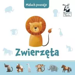 MALUCH POZNAJE ZWIERZĘTA Anna Kleszczewska - Edgard