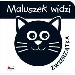 MALUSZEK WIDZI ZWIERZĄTKA - AWM