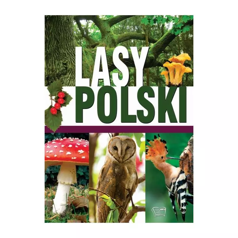 LASY POLSKIE - Arti