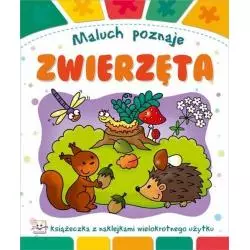 MALUCH POZNAJE ZWIERZĘTA. KSIĄŻECZKA Z NAKLEJKAMI. Podgórska Anna