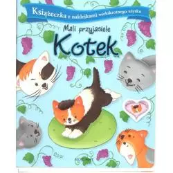 MALI PRZYJACIELE KOTEK KSIĄŻECZKA Z NAKLEJKAMI WIELOKROTNEGO UŻYTKU
