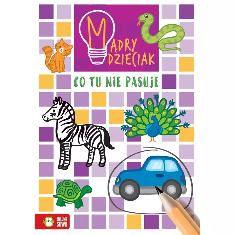 MĄDRY DZIECIAK CO TU NIE PASUJE? 6+ - Zielona Sowa