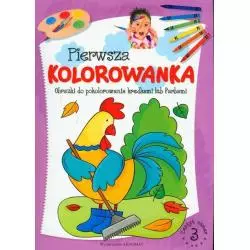 PIERWSZA KOLOROWANKA OBRAZKI DO POKOLOROWANIA KREDKAMI LUB FARBAMI