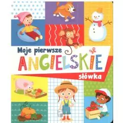 MOJE PIERWSZE ANGIELSKIE SŁÓWKA 