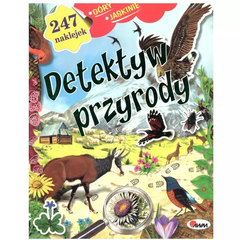 DETEKTYW PRZYRODY. GÓRY I JASKINIE. Dzwonkowski Robert