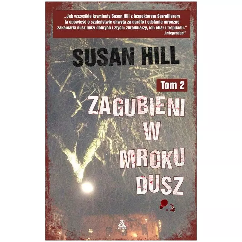 ZAGUBIENI W MROKU DUSZ 2 Hill Susan