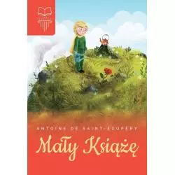 MAŁY KSIĄŻĘ - SBM